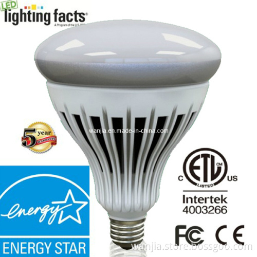 20W High Lumen LED R40 Light Bulb